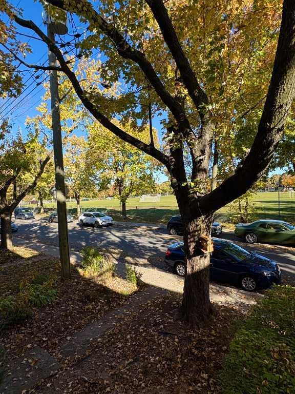 Rosemont lumineux 3 1/2 à louer | 3113638