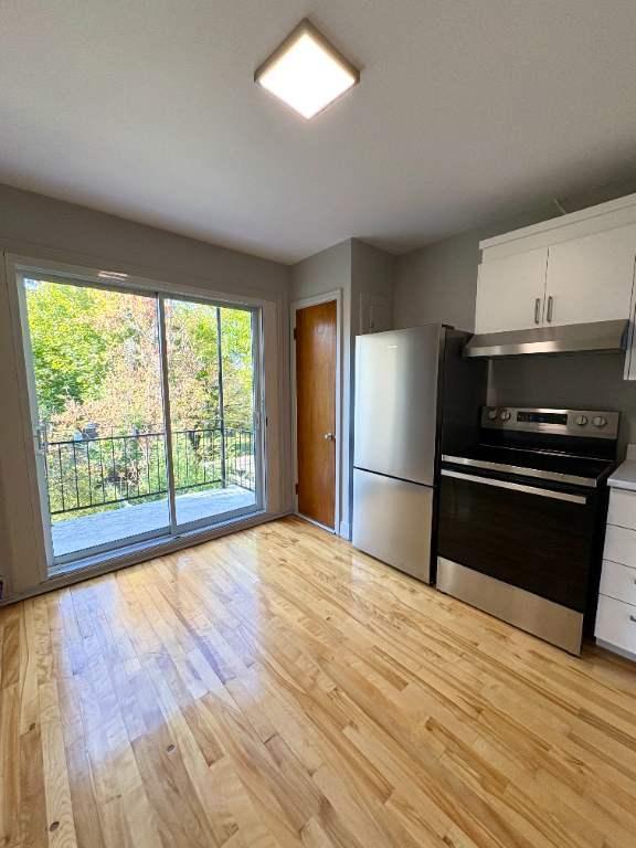 Rosemont lumineux 3 1/2 à louer | 3113638