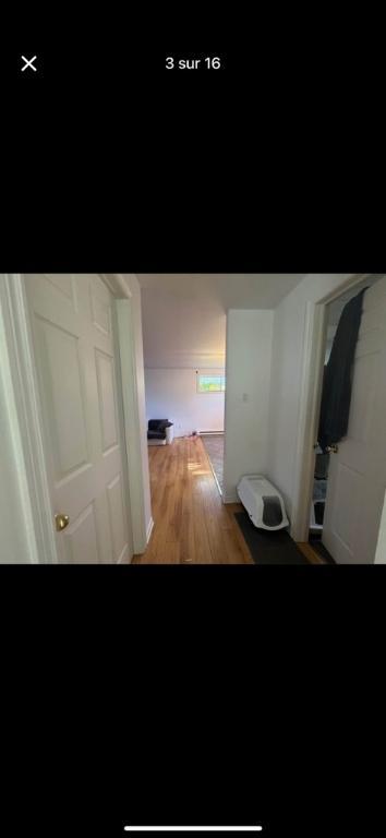 Logement 3 et demi à louer (sous-sol bungalow) | 3113640
