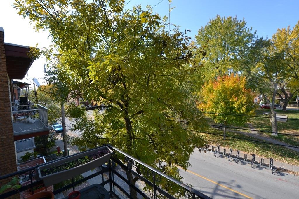 4 1/2 à louer Montréal | 3123594