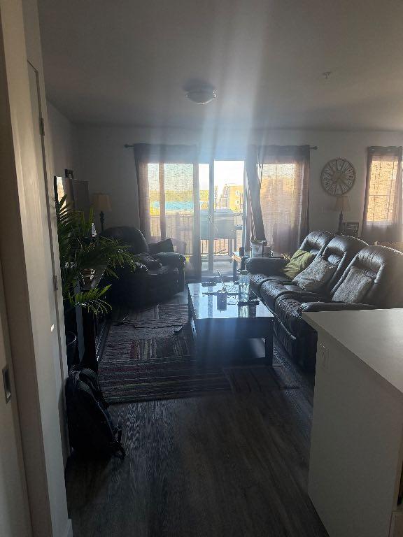 Appartement 51/2 | 3113911