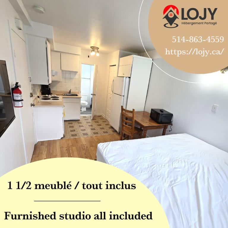Studio tout inclus 1 1/2 - 10 min du terminus Longueuil - disponible tout de suite | 3115329