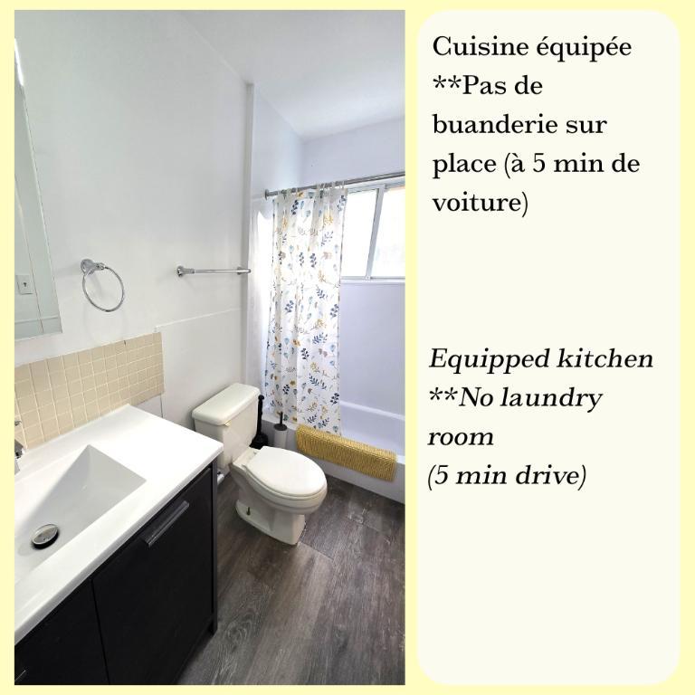 Studio tout inclus 1 1/2 - 10 min du terminus Longueuil - disponible tout de suite | 3115329