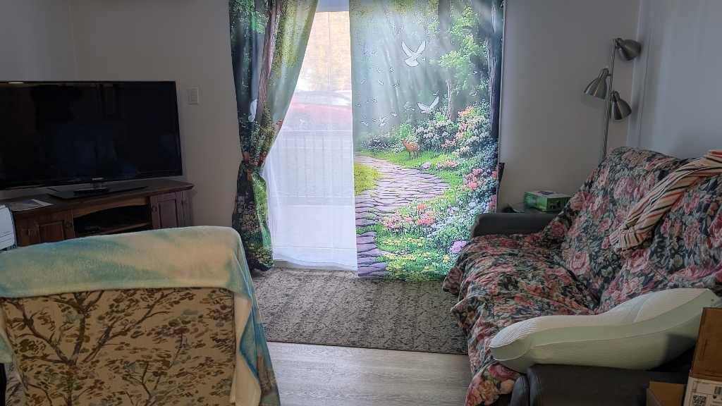 Grand 5 1/2 à céder Thetford Mines dès décembre rez-de-chaussée, animaux acceptés | 3115350