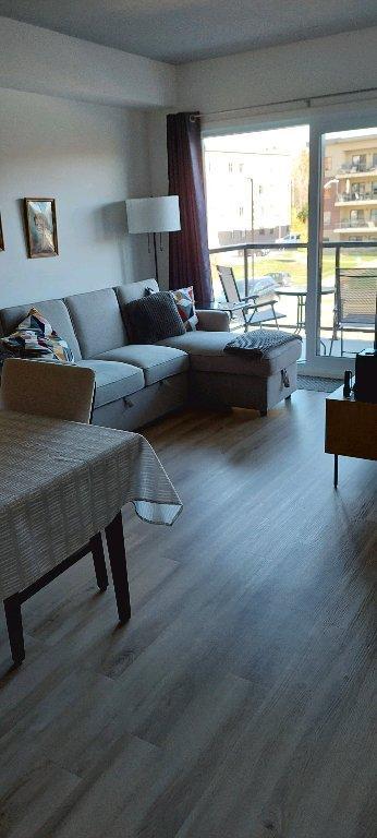 3 1/2 cession de bail | 3180174