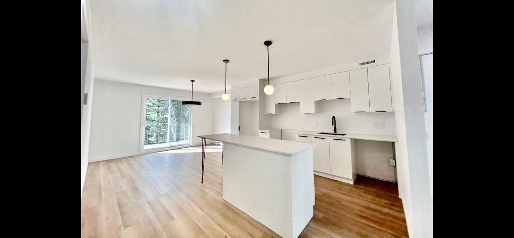 Logement4-1/2 appartement | 3146206