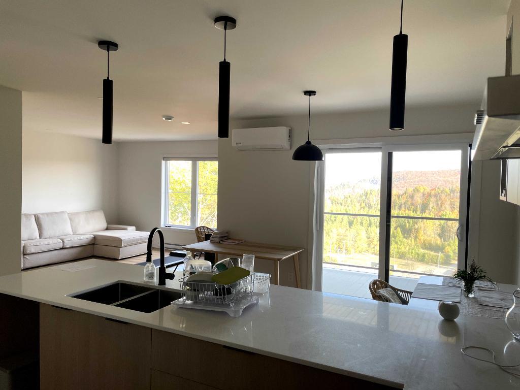 4 et demi quasi neuf à louer à Sainte-Agathe-des-Monts | 3115985