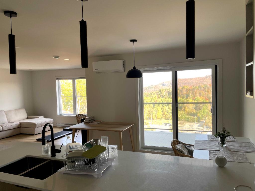 4 et demi quasi neuf à louer à Sainte-Agathe-des-Monts | 3115985