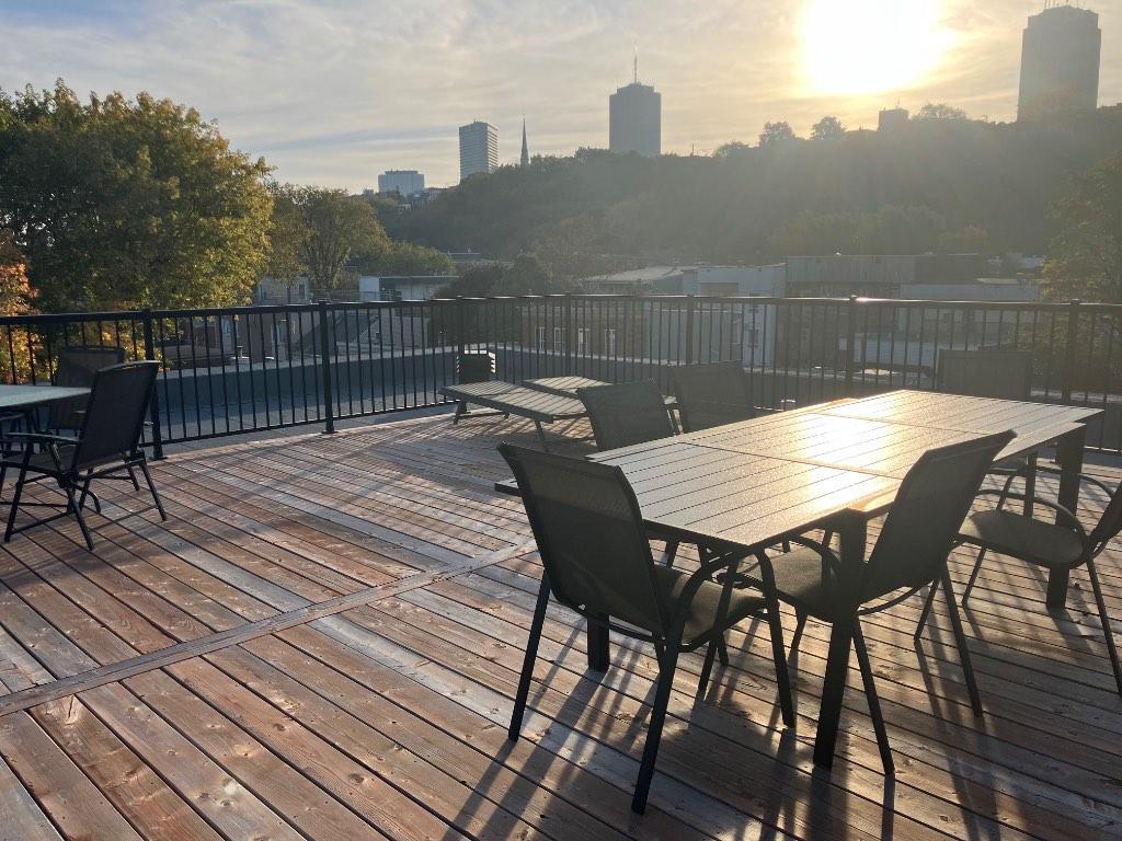 Magnifique et lumineux 4 1/2 quartier St-Sauveur | 3166987