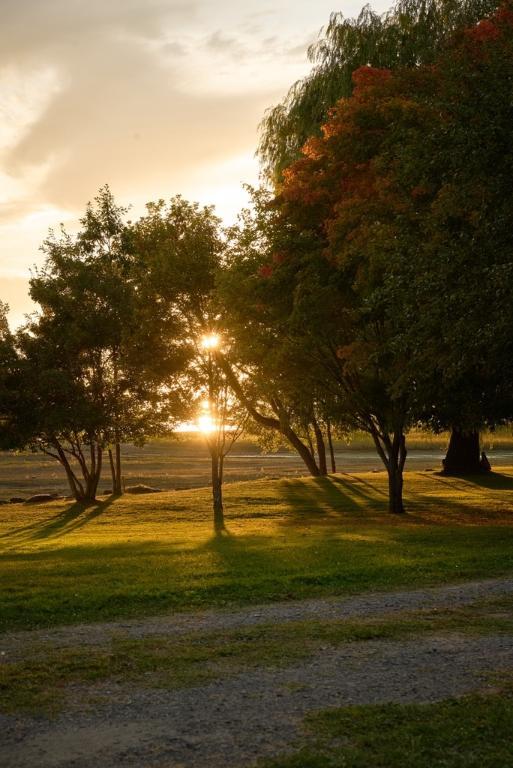 Terrain de 61000 pi2 bord du fleuve avec roulotte toute équipée | 3146624