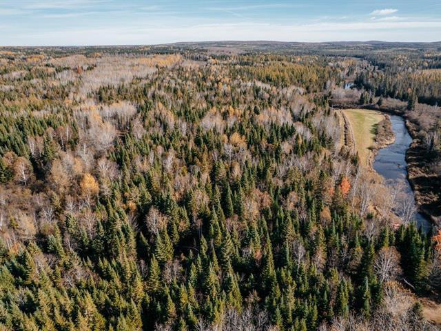 St-Cyprien (Chaudière-Appalaches) : Terre à bois | 3147218