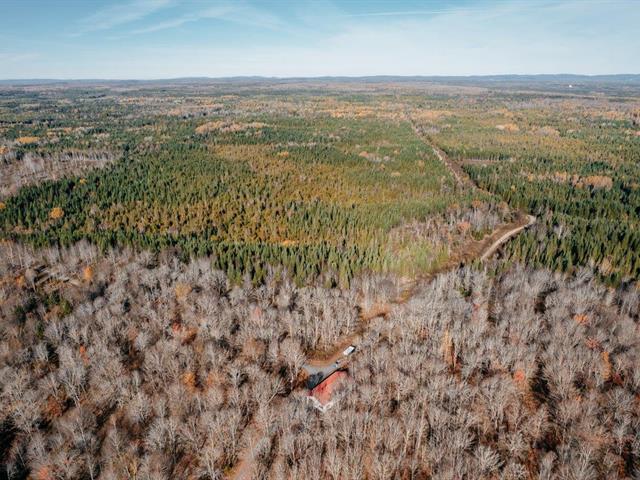 St-Cyprien (Chaudière-Appalaches) : Terre à bois | 3147218
