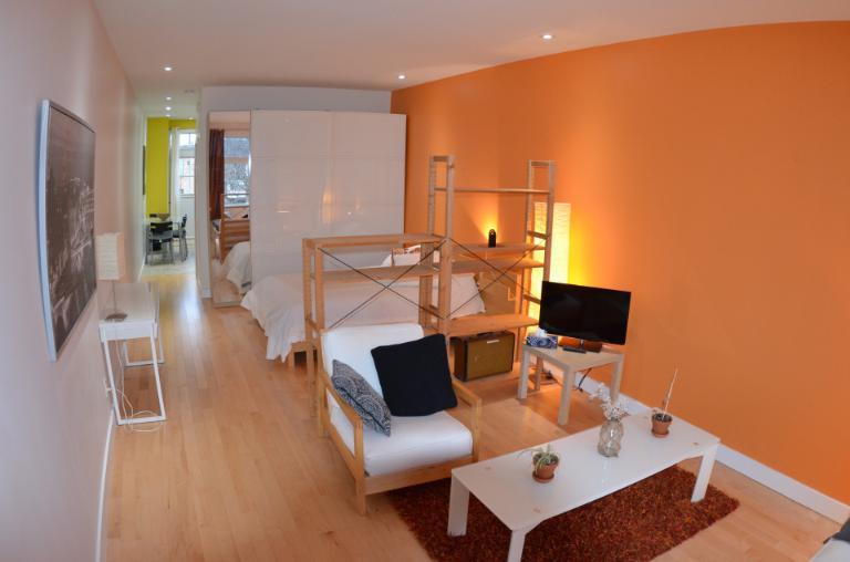 3 1/2 - Montréal (La Petite-Patrie) - 1 450 $/mois | 3117504