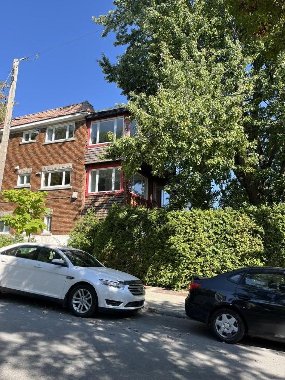 4 1/2 - Montréal (Hochelaga / Maisonneuve) - 2 195 $/mois | 3121938