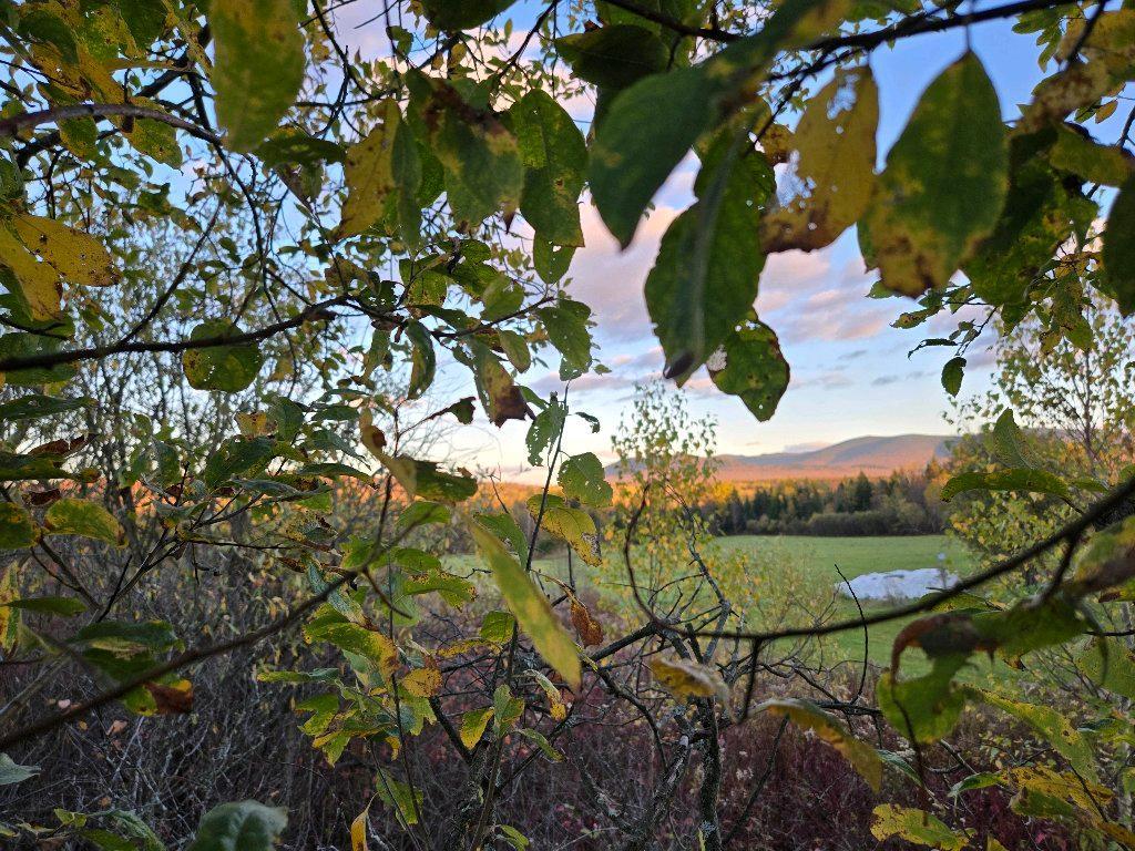 magnifique grand terrain | 3117911