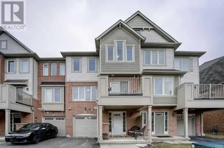 238 MORTIMER CRESCENT | 238 MORTIMER CRESCENT, Milton | 3143699