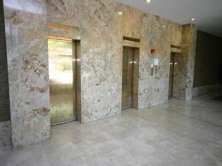 50 Hillsboro Avenue | 3188942