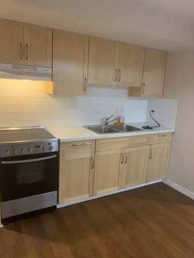 Basement - Separate entry and separate laundry with utilities | 8434 Saddleridge Drive Northeast, Calgary | 3120143