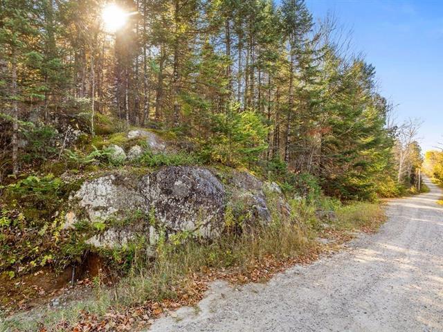 Wentworth Nord (Laurentides) : Terre de chasse avec droit de construction | 3122267