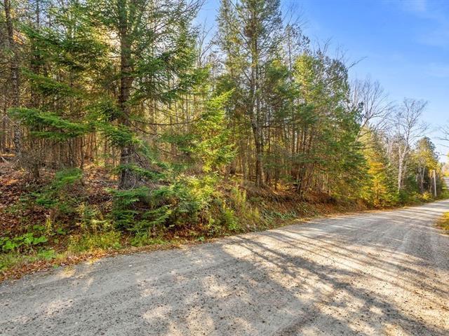 Wentworth Nord (Laurentides) : Terre de chasse avec droit de construction | 3122267