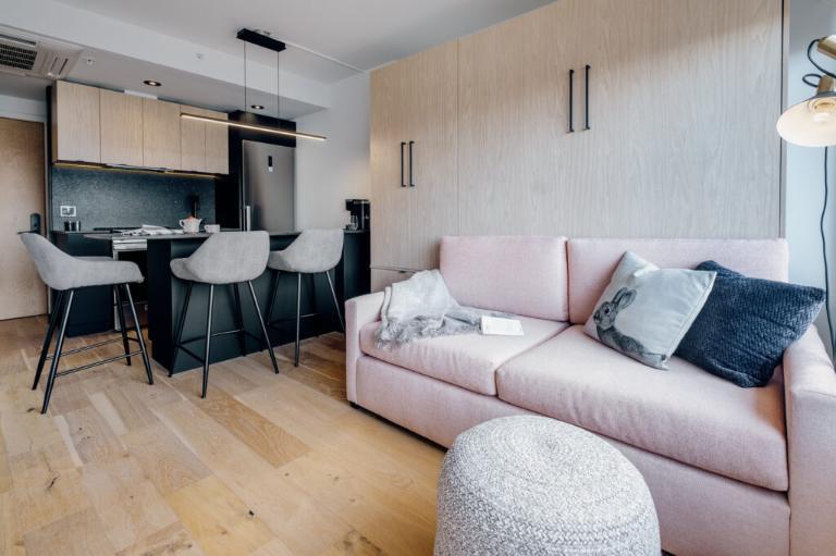 Loft entièrement meublé à louer Saint-Jean-Baptiste janvier 2026 | 3179285