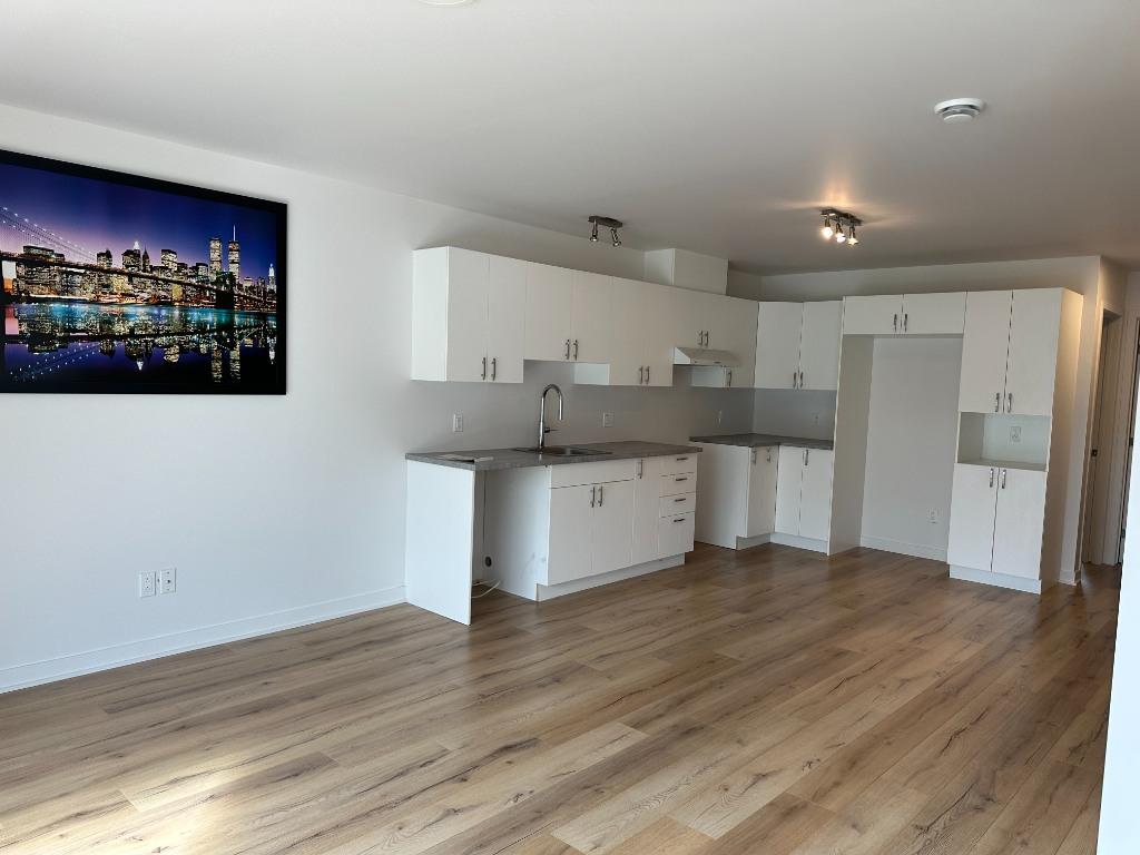 41/2 disponible 1er novembre à Mont-Blanc | 3121575
