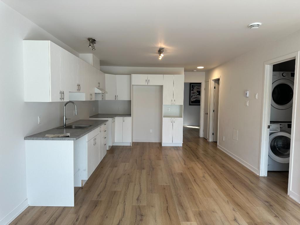 41/2 disponible 1er novembre à Mont-Blanc | 3121575