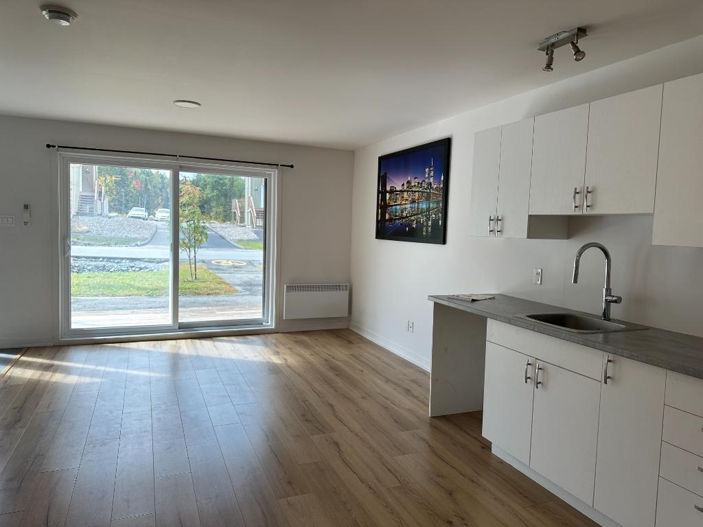 41/2 disponible 1er novembre à Mont-Blanc | 3121575