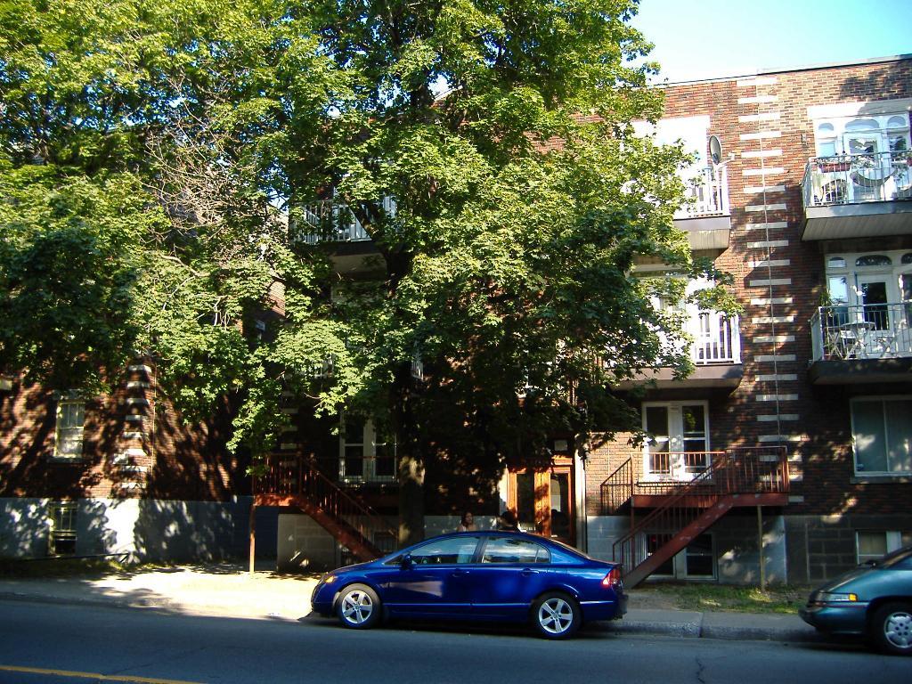Très beau 3 1/2 à louer, entièrement rénové! À voir absolument! | 3121582
