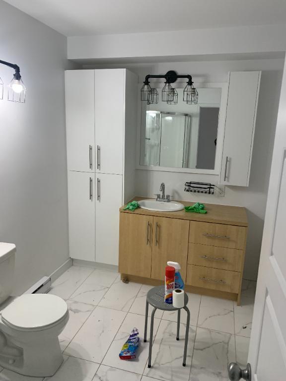 Superbe logement 5 1/2 à St-Nicolas, 2ème étage, climatisé, 2 STATIONNEMENTS EXTÉRIEURS INCLUS, LIBRE LE 1ier décembre 2025. | 3121913