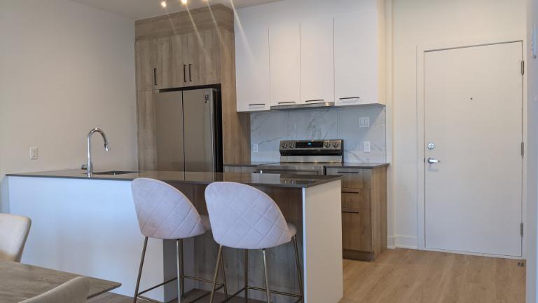 4 1/2 - Montréal (Saint-Michel) - 1 875 $/mois | 3121917
