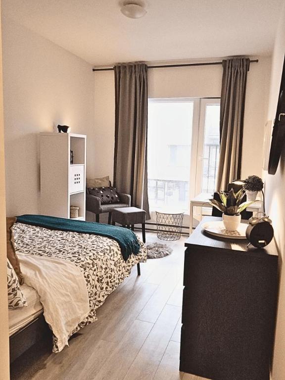 Studio - Montréal - $1,055 /mo | 3122254