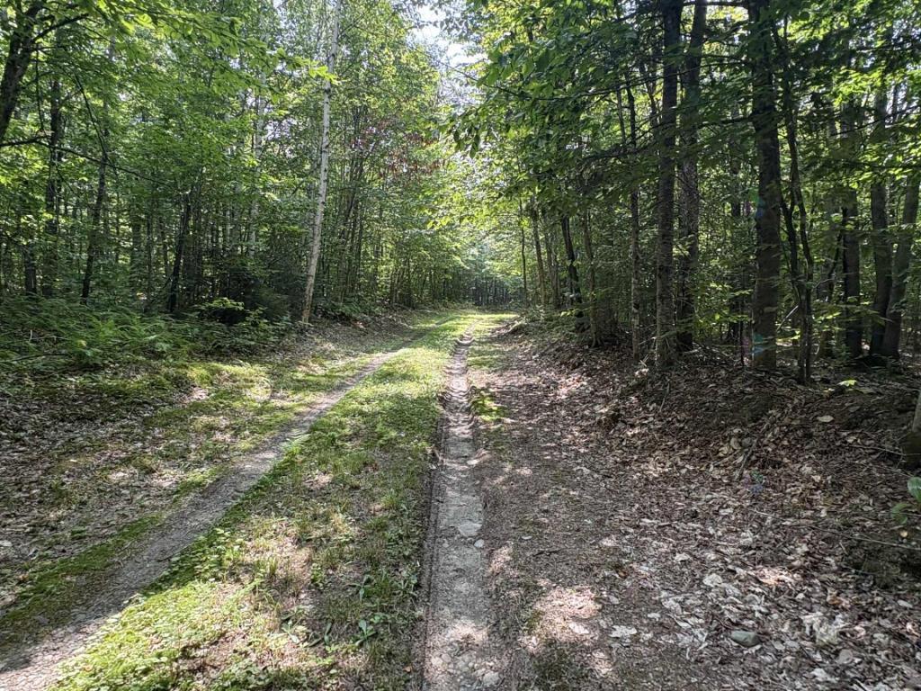 Lots à bois, camps de chasse au Bas-saint-laurent, Saint-Cyprien, Rivière-bleue, Saint-Jean-de-dieu | 3152206