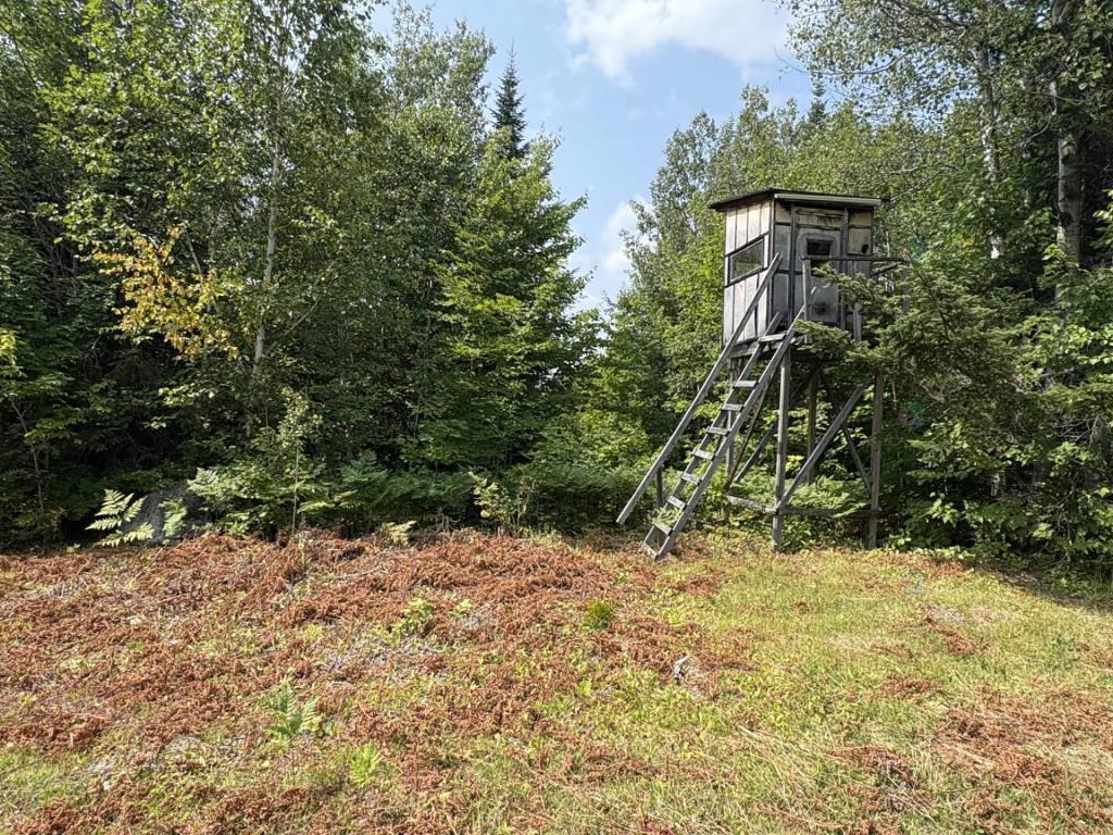 Lots à bois, camps de chasse au Bas-saint-laurent, Saint-Cyprien, Rivière-bleue, Saint-Jean-de-dieu | 3152206