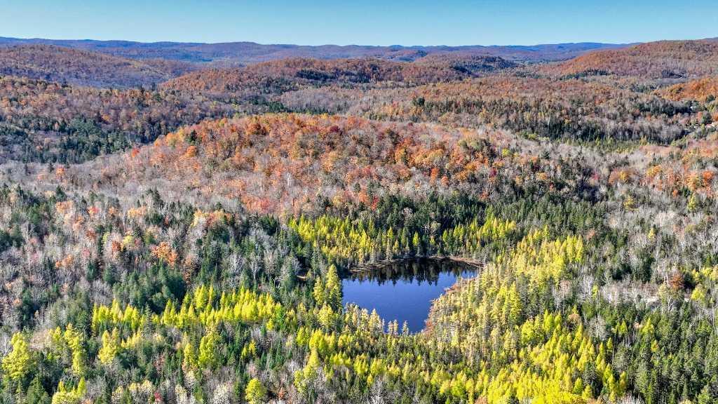 Terrain à vendre dans Lanaudière: EXCLUSIVITÉ DANS LA RÉGION! | 3122269
