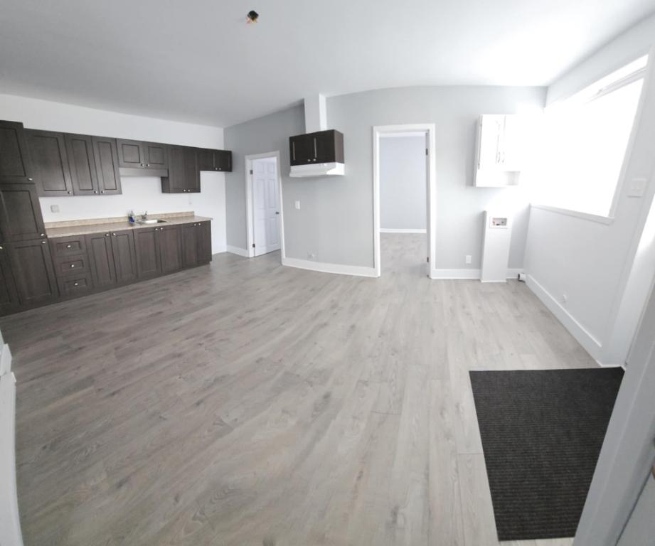 Loyer / Logement 4 1/2 N.C. / N.É rénové Grand-Mère | 3123598