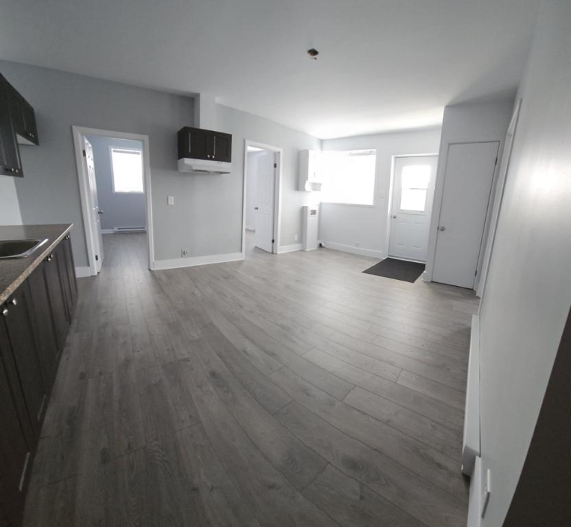 Loyer / Logement 4 1/2 N.C. / N.É rénové Grand-Mère | 3123598