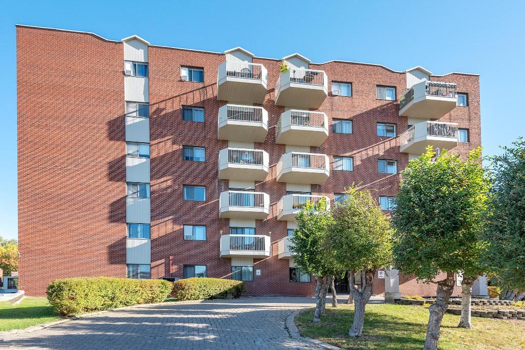 3 1/2 FRAIS PEINT SAINT-LAMBERT (IMMEUBLE BÉTON) | 3123612