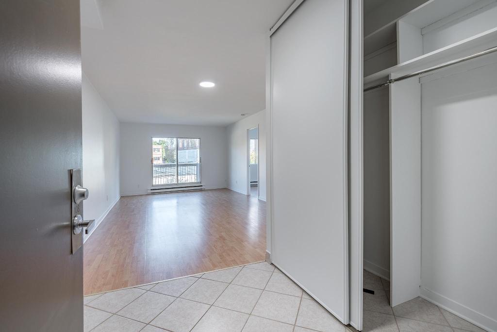 3 1/2 FRAIS PEINT SAINT-LAMBERT (IMMEUBLE BÉTON) | 3123612