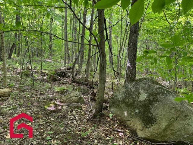 Terrain | 3123945