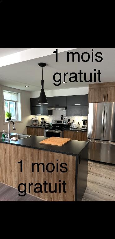 Grand 4 et demi (cession pour décembre 1mois gratuit) | 3123964