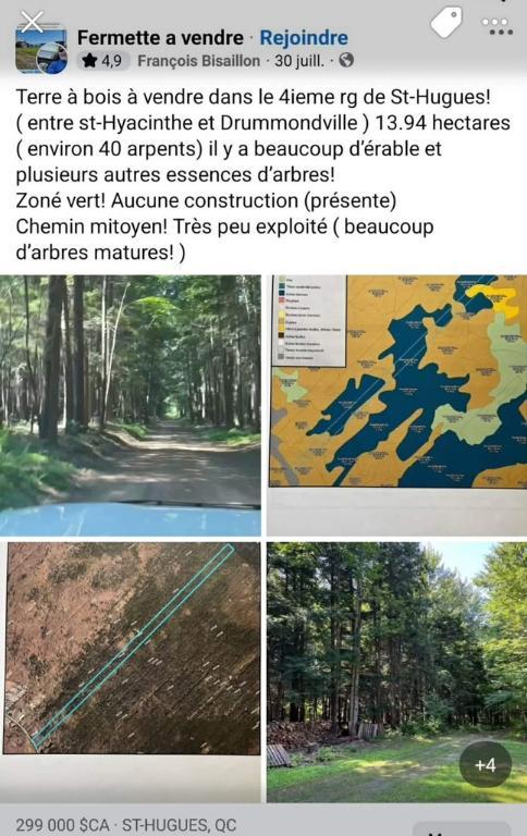 Terre à bois | 3133632