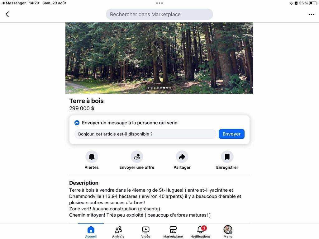Terre à bois | 3133632