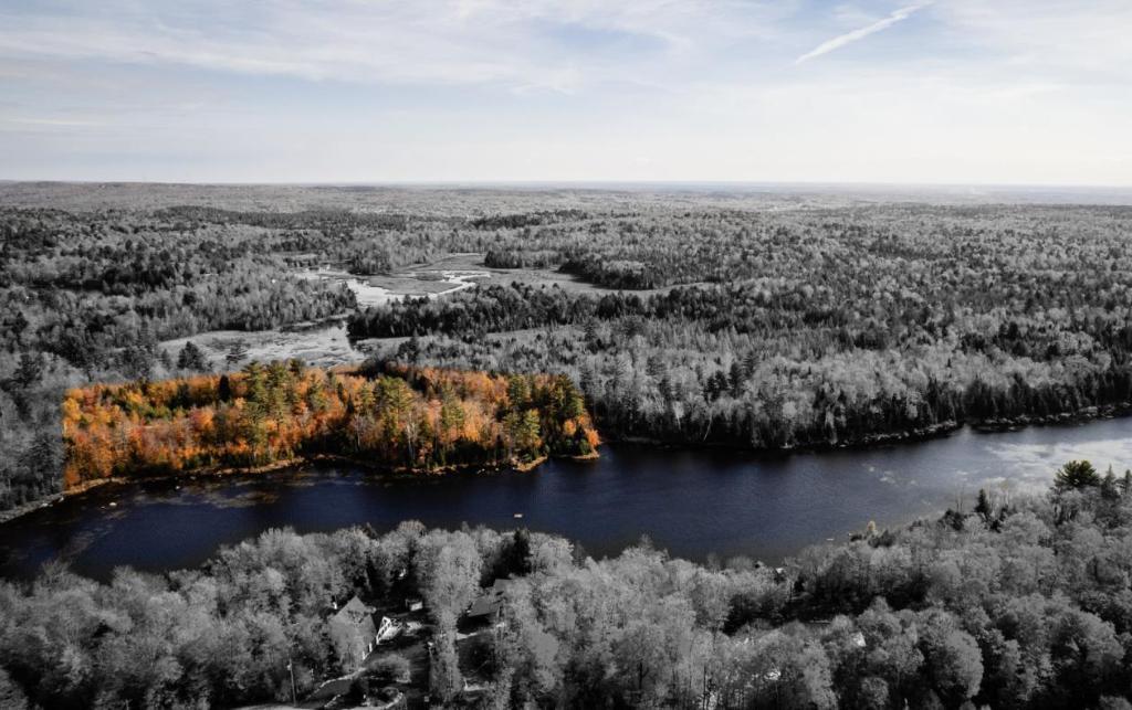 TERRAIN À VENDRE - BORD DE L'EAU - SAINTE-ANNE-DES-LACS | 3124327