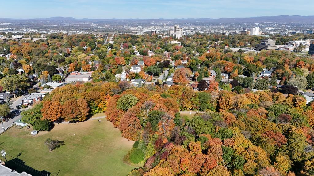 Grand 4 1/2 récent à Sillery *LIBRE IMMÉDIATEMENT* | 3128227