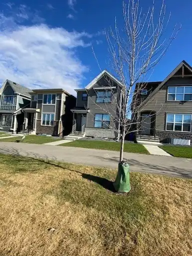 New House in Mahogany | 46 Magnolia Street Southeast, Calgary | 3128407