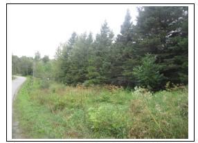 Terres à bois Deschambault-Grondines | 3156454