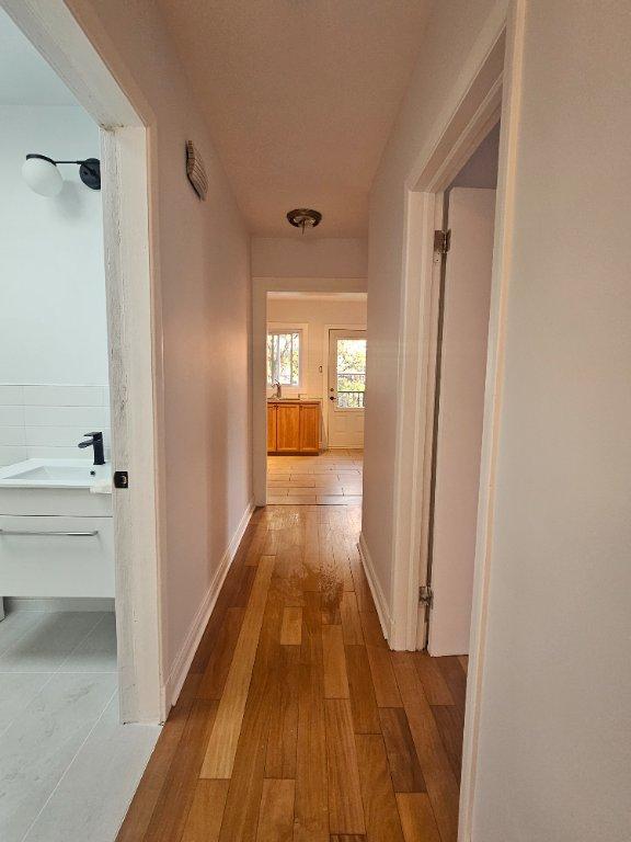 4 et demi rénové dans Rosemont | 3130633