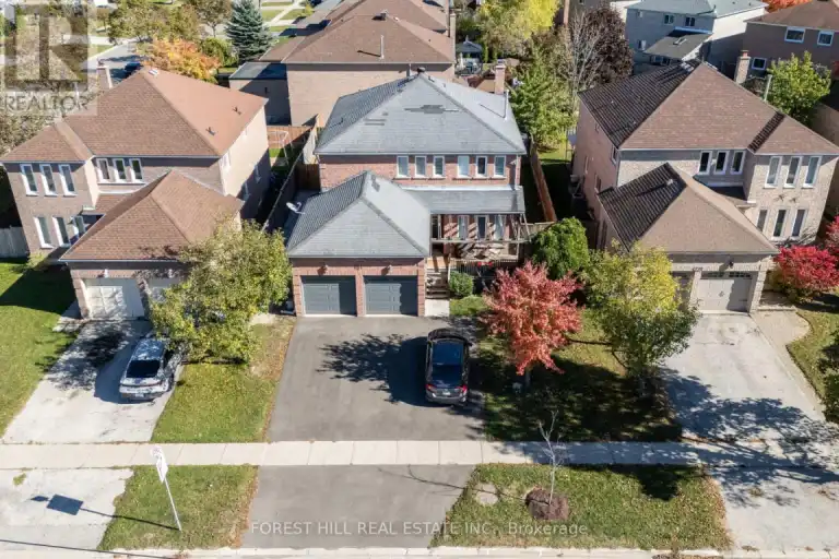 LOWER - 181 JOHNSON STREET | LOWER - 181 JOHNSON STREET, Barrie | 3130757