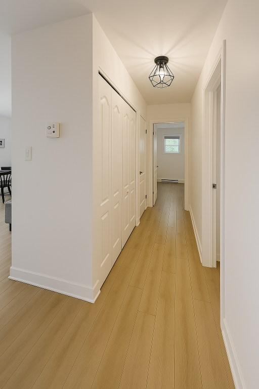 GRAND LOGEMENT ENSOLEILLÉ (2chb) | 3130954